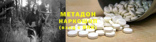 крисы Бородино