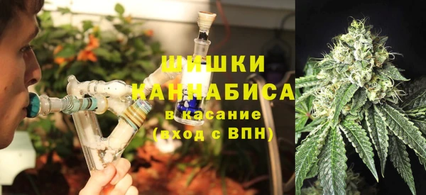 твердый Верхний Тагил