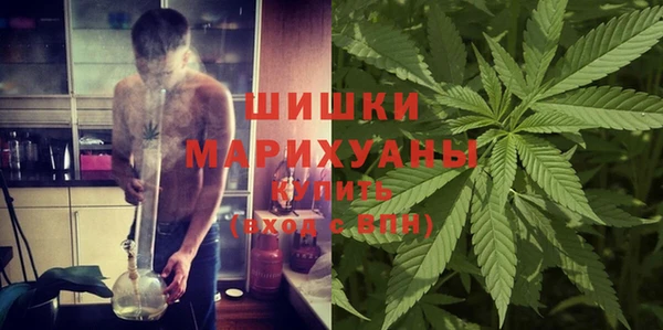 шишки Богданович